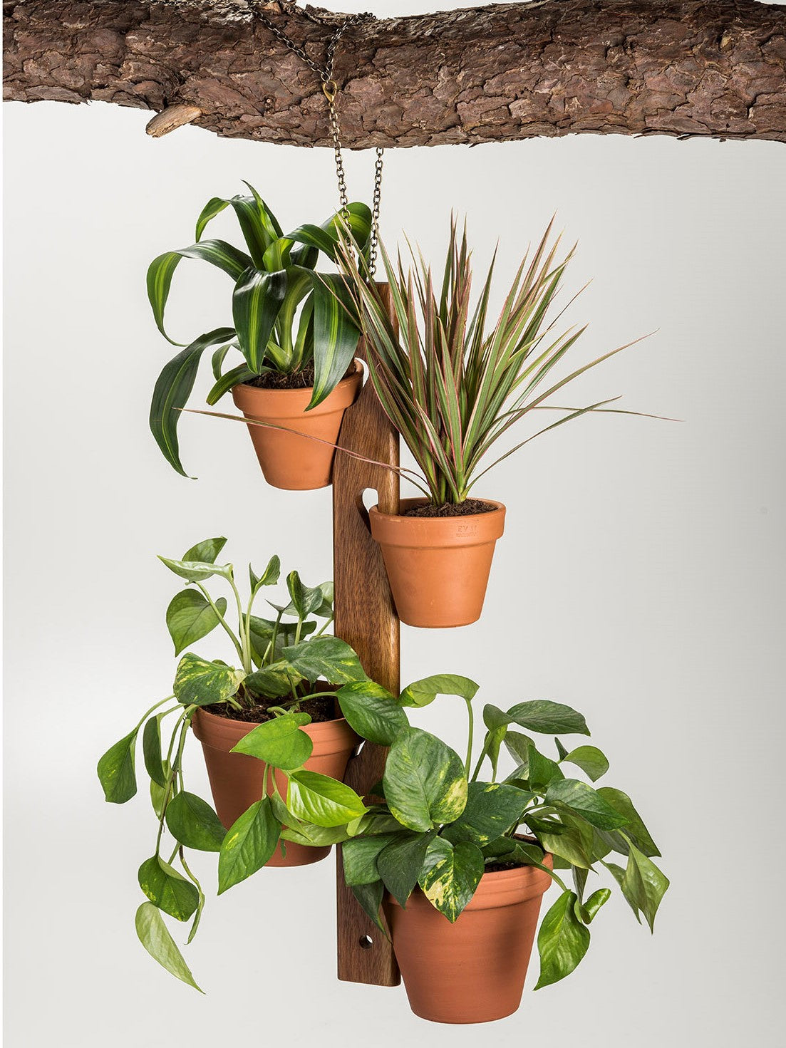 in ground hanging plant holders Hanging Plant Holder for Terra Cotta Pots – House And Leaf