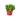 1 Succulent Monthly Subscription Box