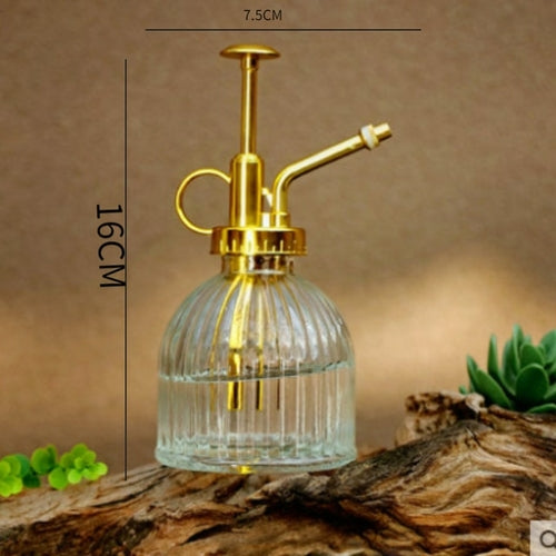 small watering can for indoor plants Glass Watering Can for Indoor Plants – House And Leaf