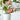 Organic Soil & Root Boost