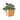 1 Pre-Potted Subscription Box