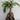Ficus Ginseng Indoor and outdoor Bonsai Artificial Plant (SIZE-12Inch)